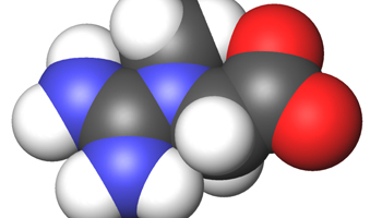 creatine
