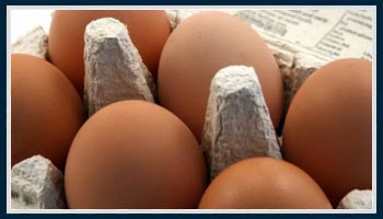 eggs