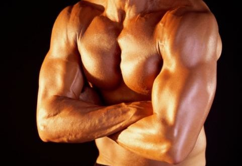 Dirty Bulking Vs Clean Bulking | Supplement Judge